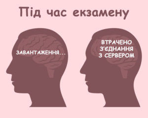 мозок